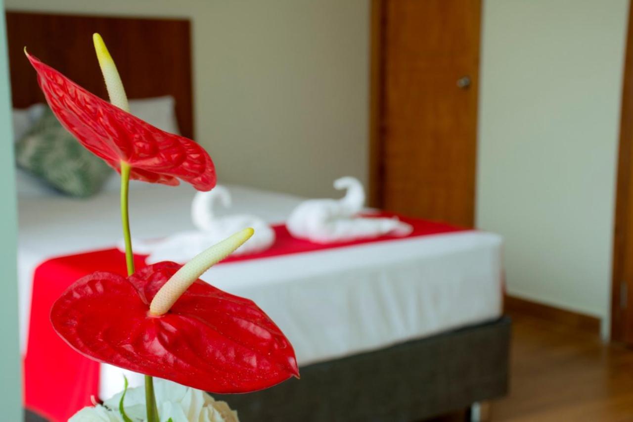 Hotel La Palmera De Oro Тарапото Экстерьер фото